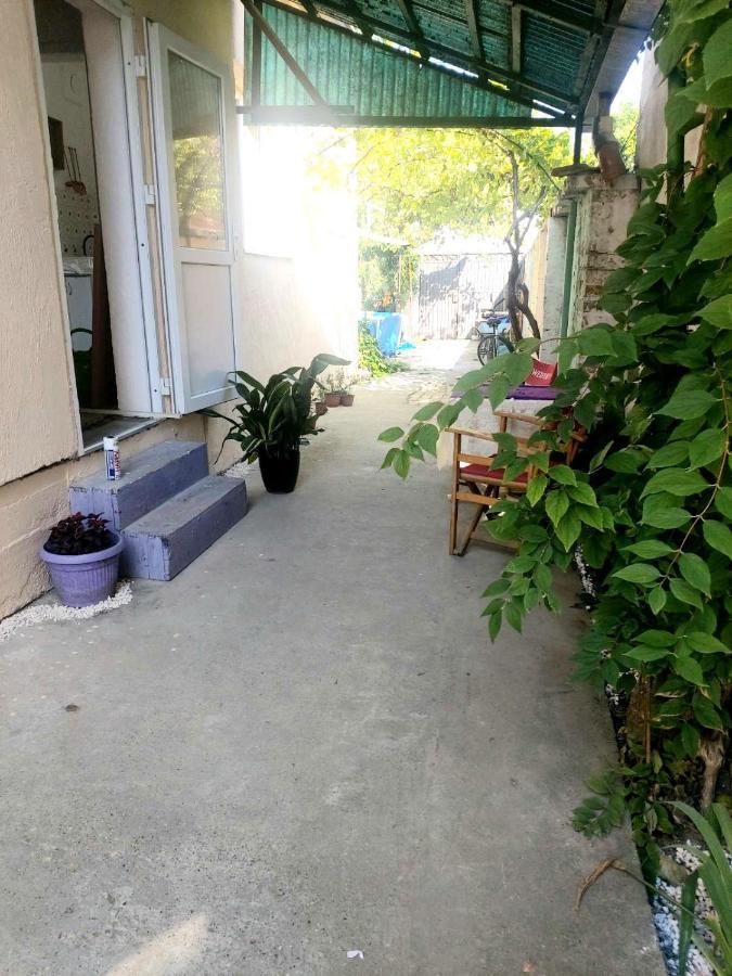 PančevoSunshine House别墅 外观 照片