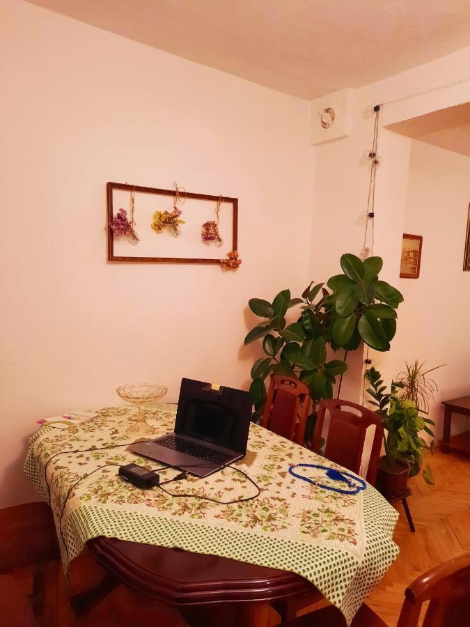 PančevoSunshine House别墅 外观 照片