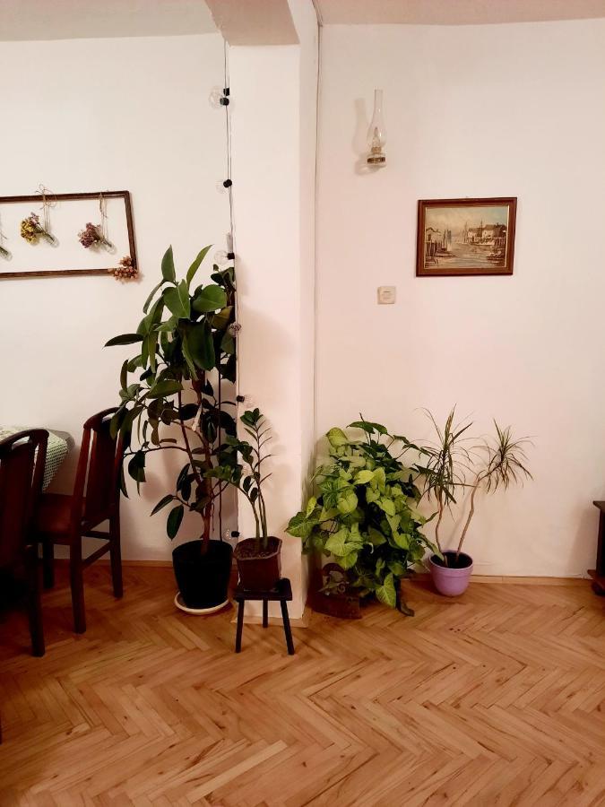 PančevoSunshine House别墅 外观 照片