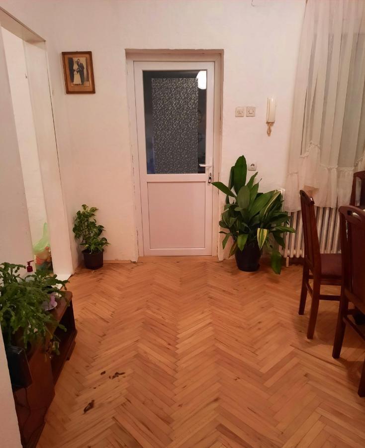 PančevoSunshine House别墅 外观 照片